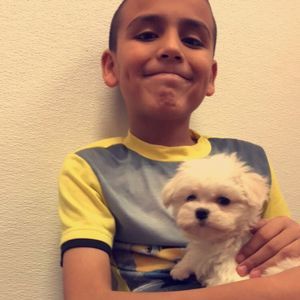 Meet your Posher, Christian